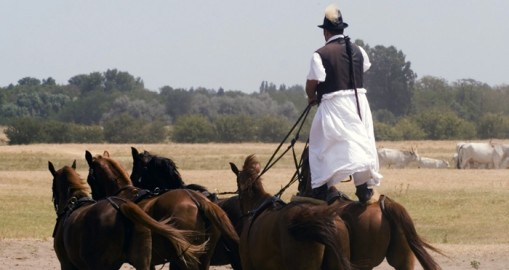 Pásztorok Ünnepe 2012  - Pásztorok Ünnepe